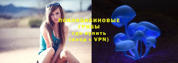 ALPHA PVP Аркадак