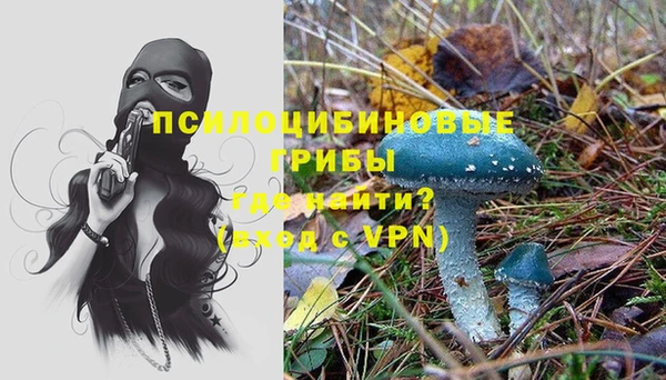 а пвп мука Армянск