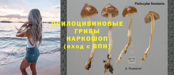 прущая мука Арсеньев